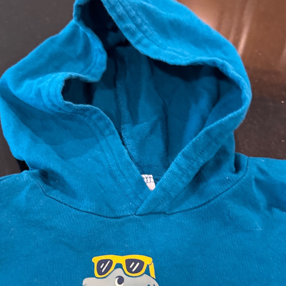 Carters Coolest Brother Blue Dinosaur Hoodie - Picture 5 of 6